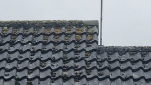 Is it safe to pressure wash roofs?